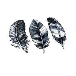 Feather Bookmarks 3d model