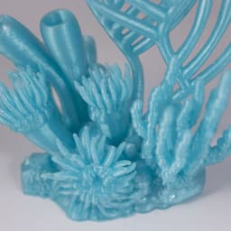 Marmalade Reef 3d model
