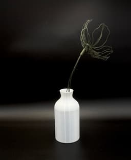 Iris – 3D Printed Art Flower 3d model