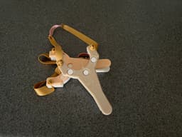 Sighted Slanger 3d model
