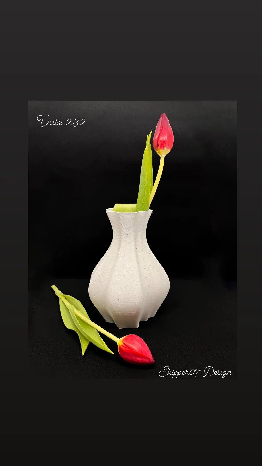 Vase 2.3.2.stl 3d model