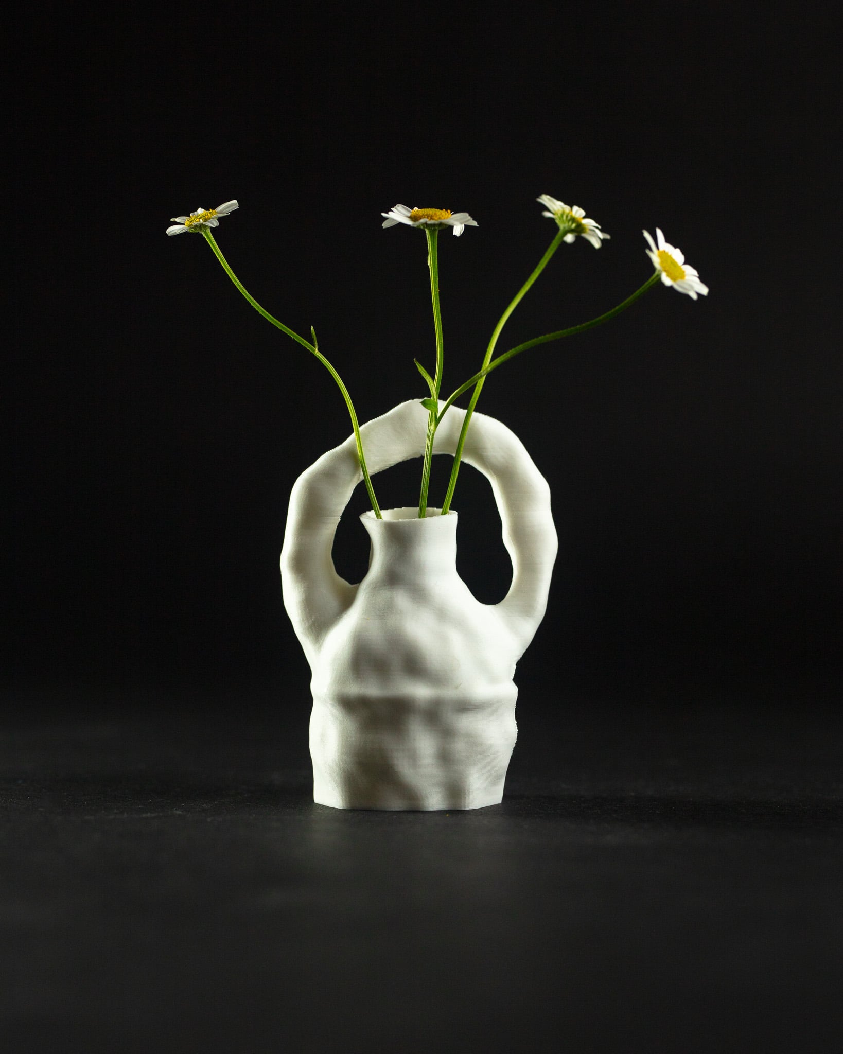 Loop Vase Prototype 3d model
