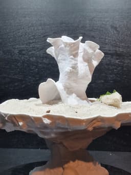 Aquarium & Terrarium Coral Reef Decor | Fish Tank Cave & Natural Fish Hide | Reptile Habitat Decor 3d model