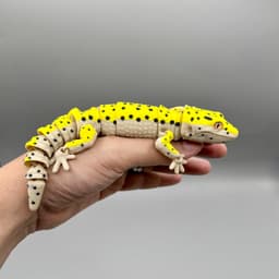Articulated Leopard Geckos | Pre-Painted + Optional 6mm Glass Eye Version 3d model
