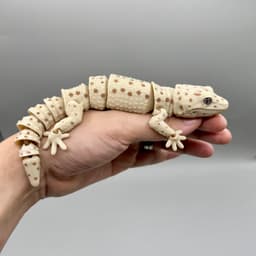 Articulated Leopard Geckos | Pre-Painted + Optional 6mm Glass Eye Version 3d model