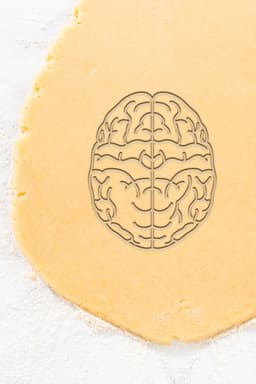 Brain Cookie Cutter, Biscuit Cutter 3d model