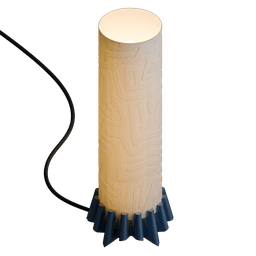 AMOEBAS 3d model