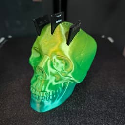 Skull SD Holder 3d model