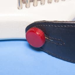 Strap Cap // Guitar Strap Lock 3d model