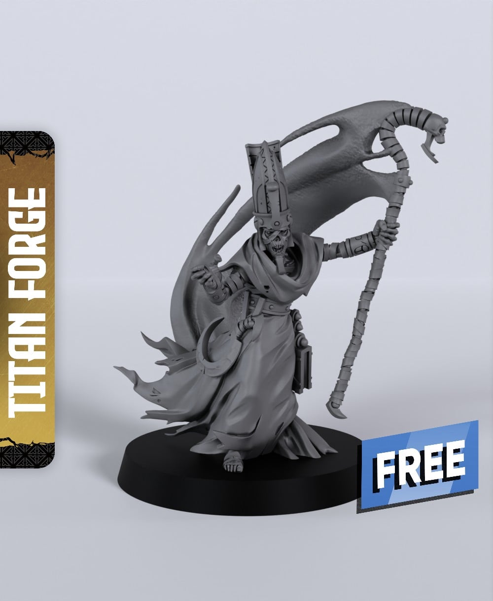 Sand Priest - With Free Dragon - 5e DnD Inspired for RPG and Wargamers 3d model