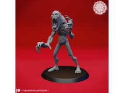 Sorrowsworn - The Hungry - Tabletop Miniature 3d model