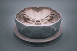 Sliced Skull Bowl (Pre Supported) 3d model