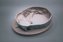 Sliced Skull Bowl (Pre Supported) 3d model