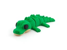 Alligator/Crocodile 3d model