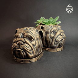 English Bulldog 3d model