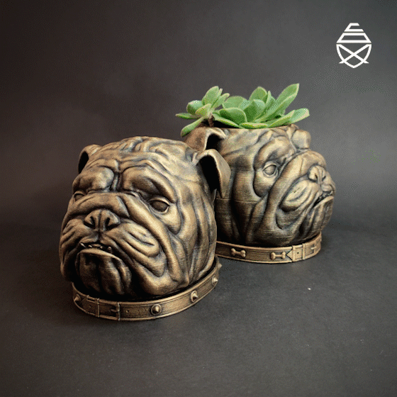 English Bulldog 3d model