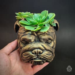 English Bulldog 3d model
