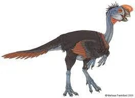 oviraptor 3d model