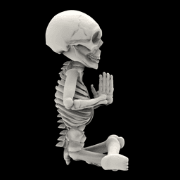 Skull Yoga pose 3d model