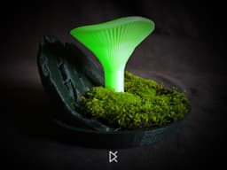Mushroom Mossarium - Omphalotus Illudens 3d model