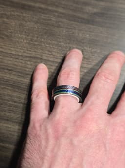 Flat band fidget ring 3d model