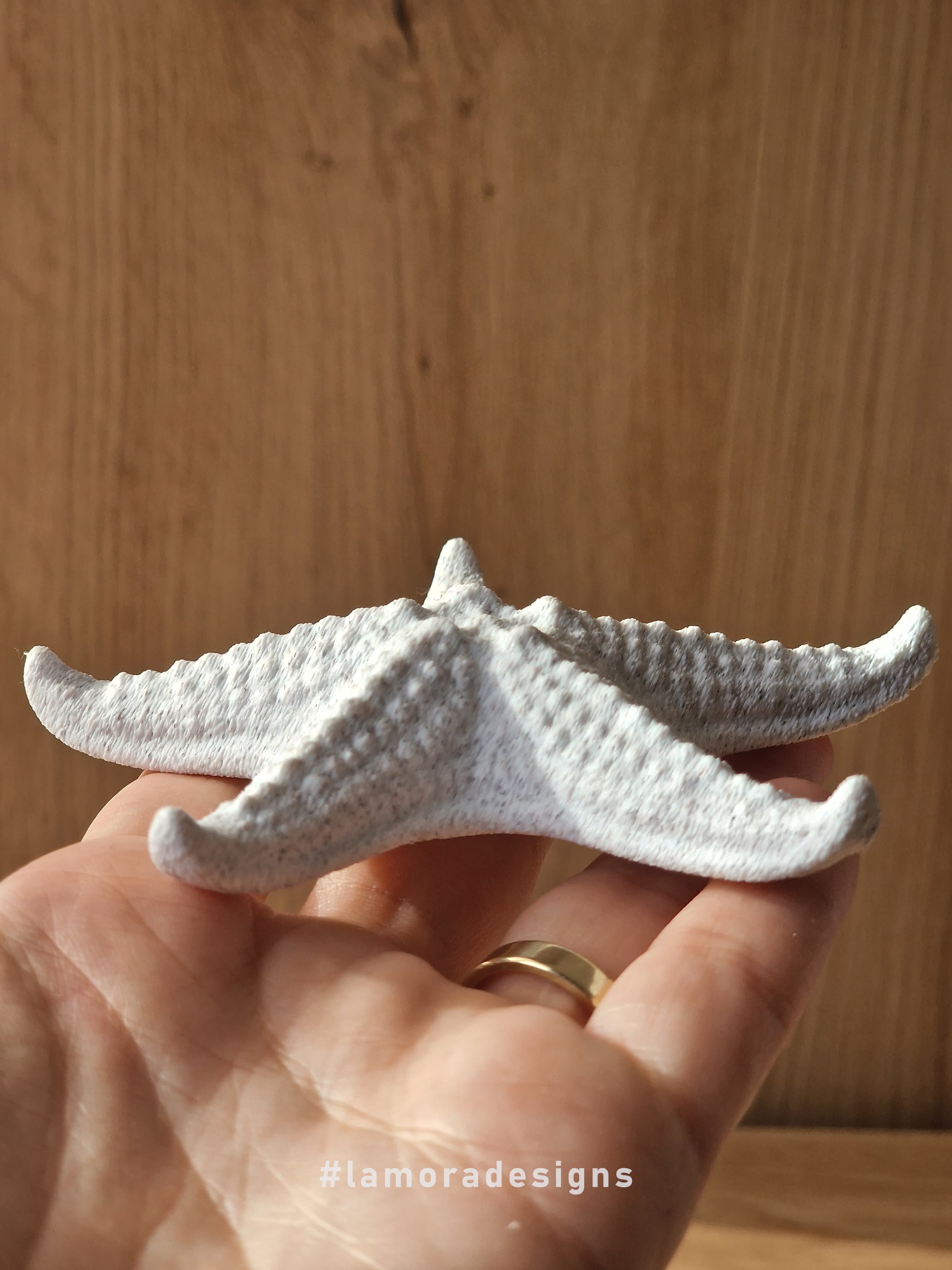 Astra - High-Detail Minimalist Starfish 3d model