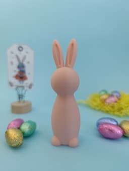 Decoration Bunny 3d model