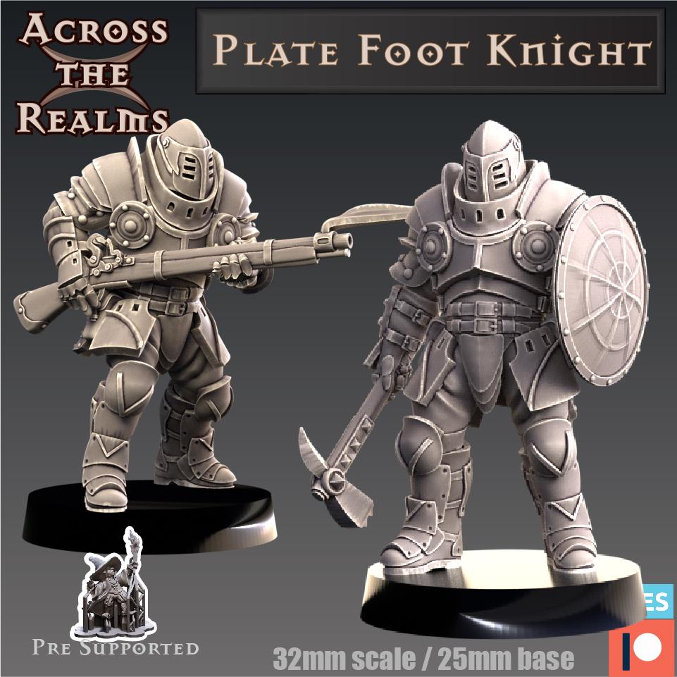 Plate Foot Knight 3d model
