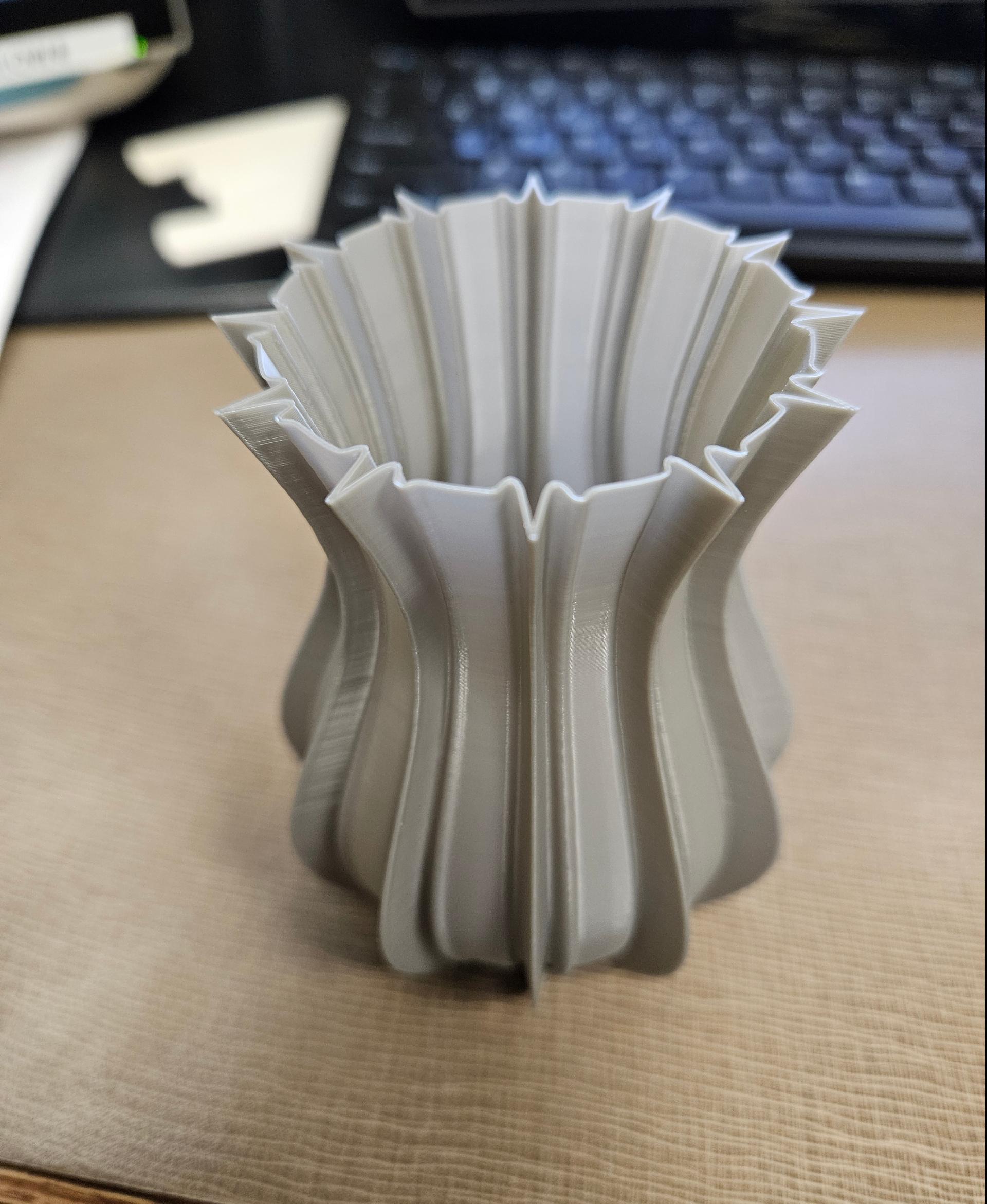 Seduction Vases - This amused me as an ECG tech. Printed very nicely. My coworkers love it. - 3d model