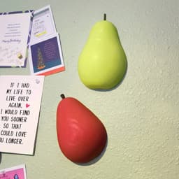 Jumbo Bartlett Pear Decorative Pop-Out 3D Wall Art :: The 'Low-Hanging Fruit' Collection 3d model