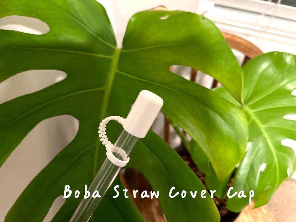 Boba & Smoothie Straw Cover Cap 3d model