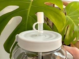 Boba & Smoothie Straw Cover Cap 3d model