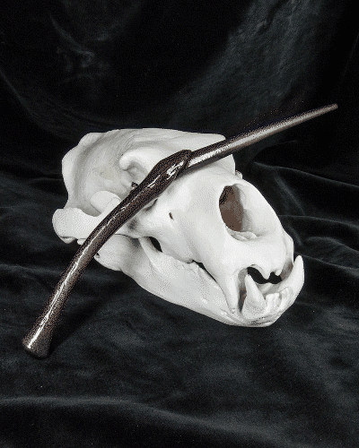 Bellatrix Lestrange’s Wand - Harry Potter 3d model