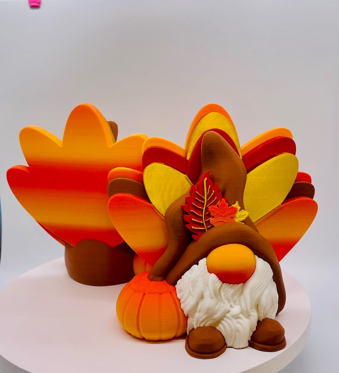 Boy Turkey Gnome 2024 3d model