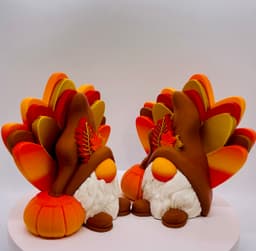 Boy Turkey Gnome 2024 3d model