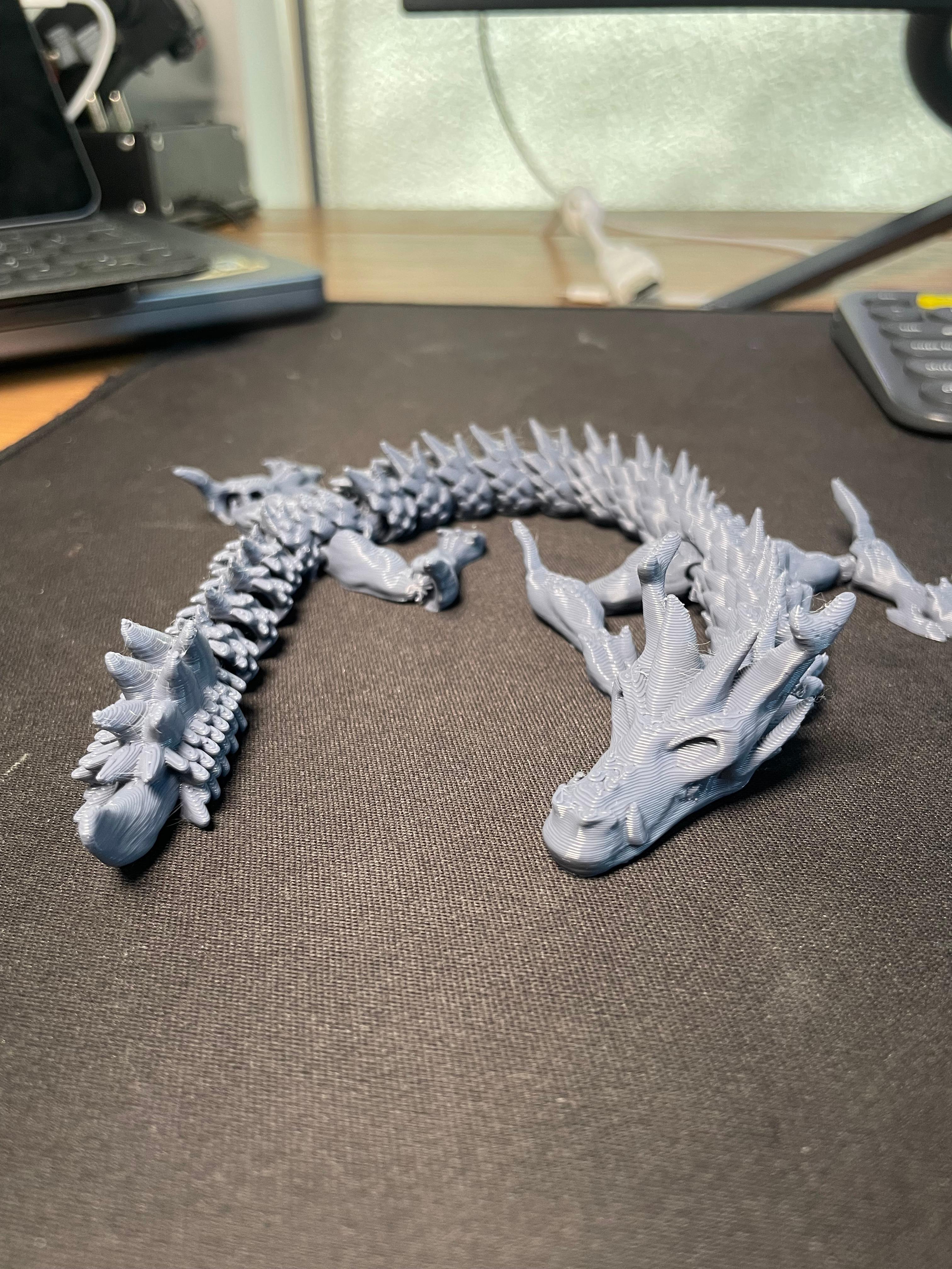 Skull Dragon Print in Place 3d model