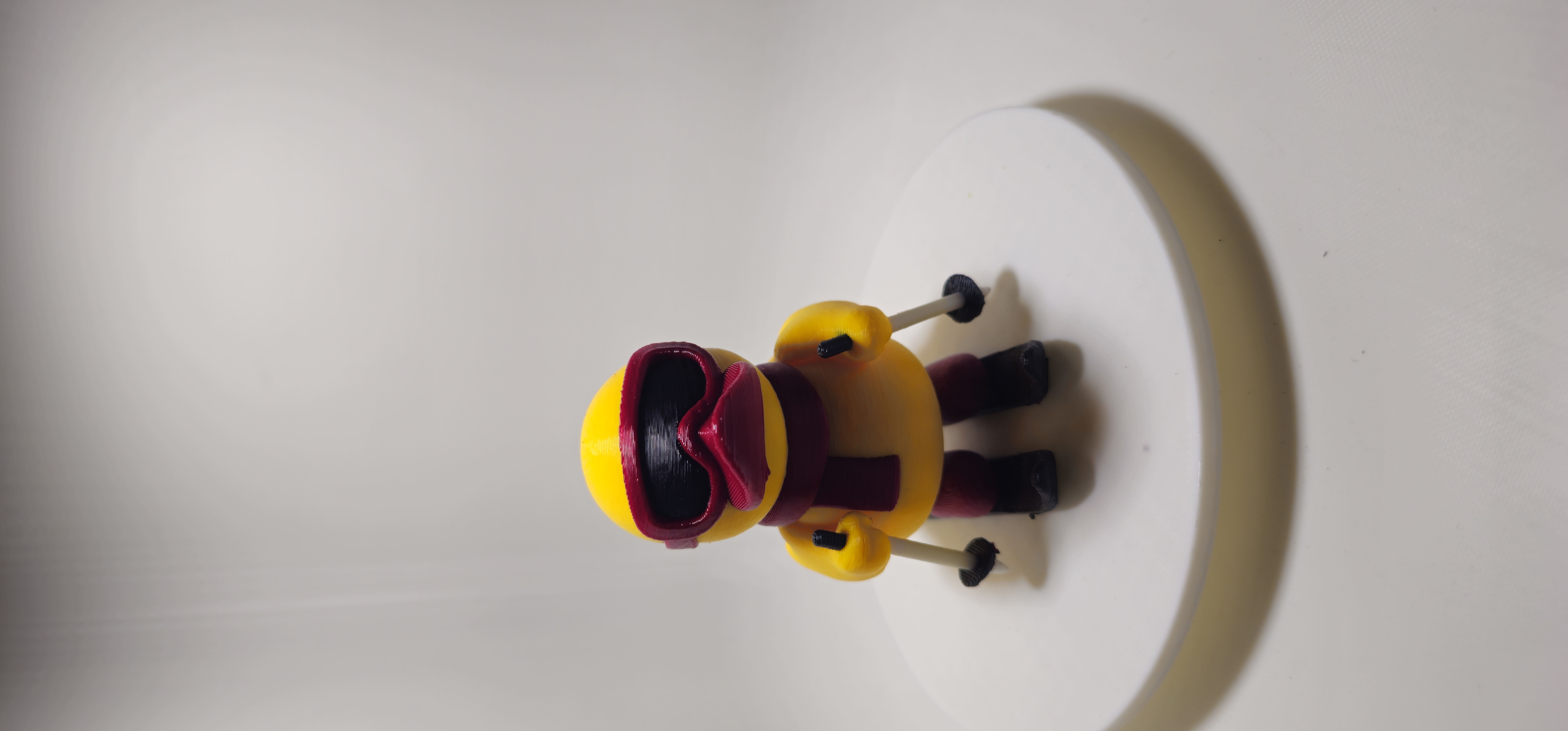 Ski Duck 3d model