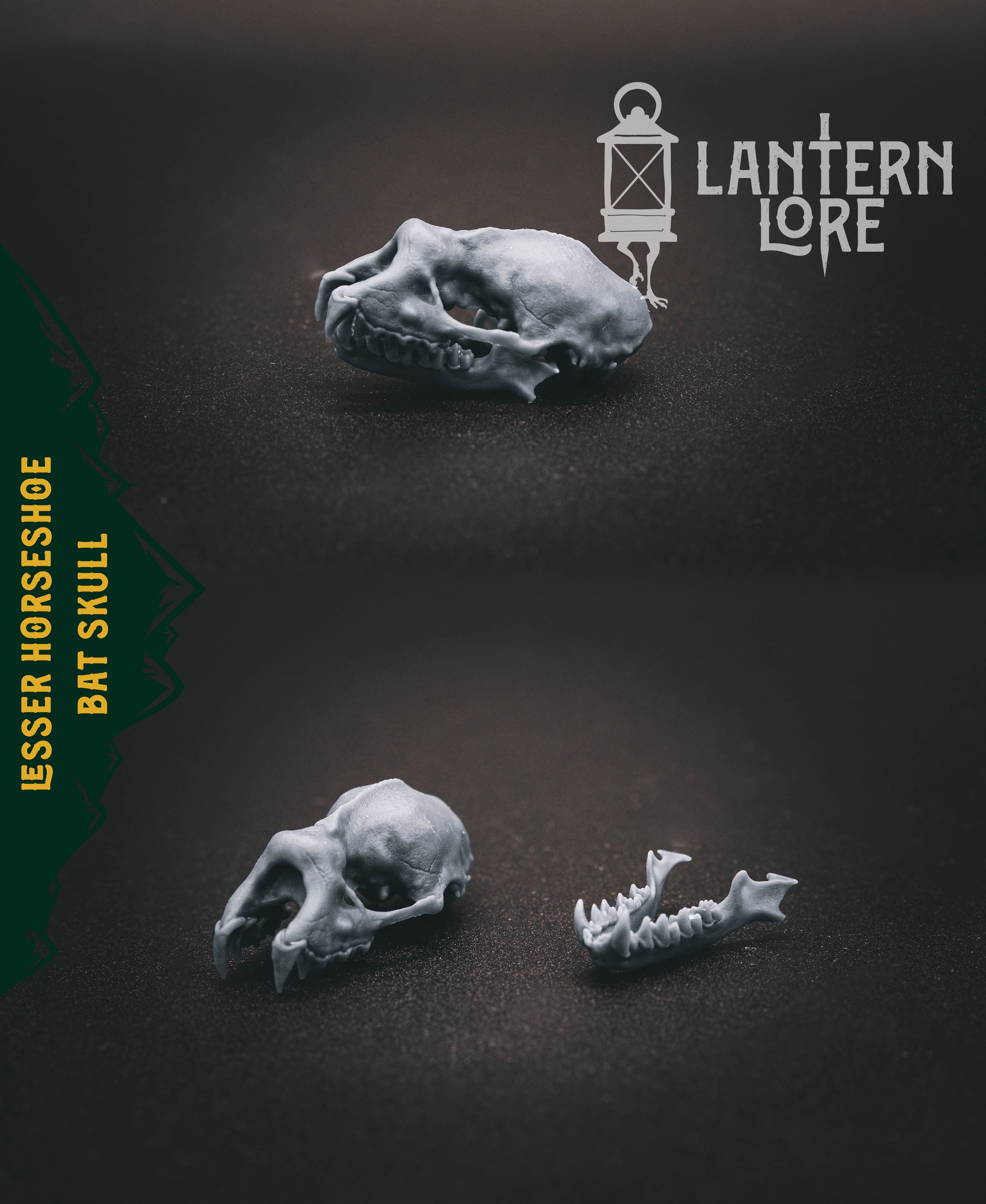 Lesser Horseshoe Bat Skull (Pre Supported) 3d model