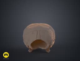 Mouse Skull (Mus Musculus) 3d model
