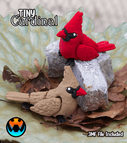 Tiny Cardinal 3d model