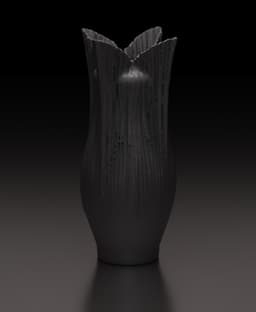 Velum 3d model
