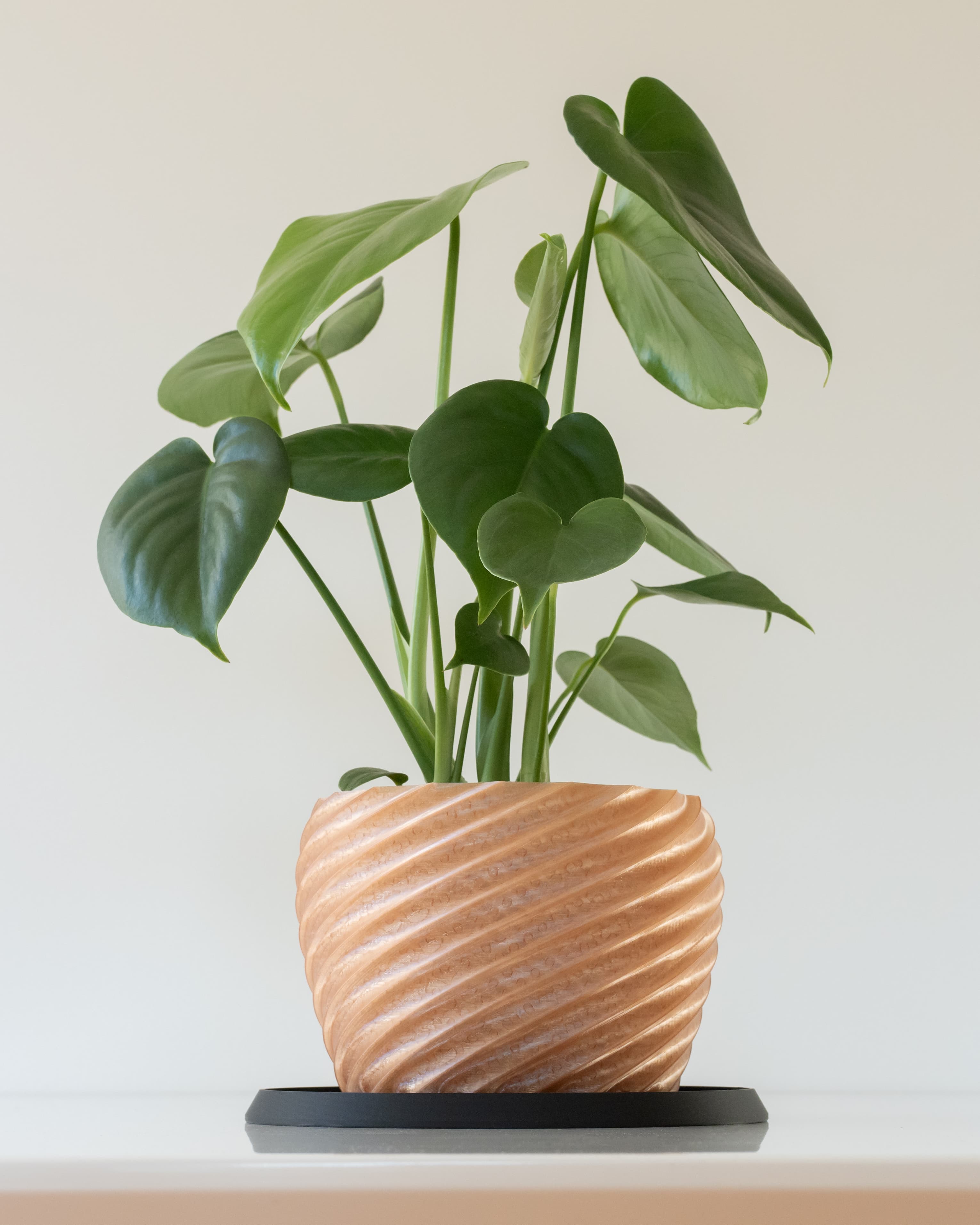 SPIRALIS Pot 001 3d model