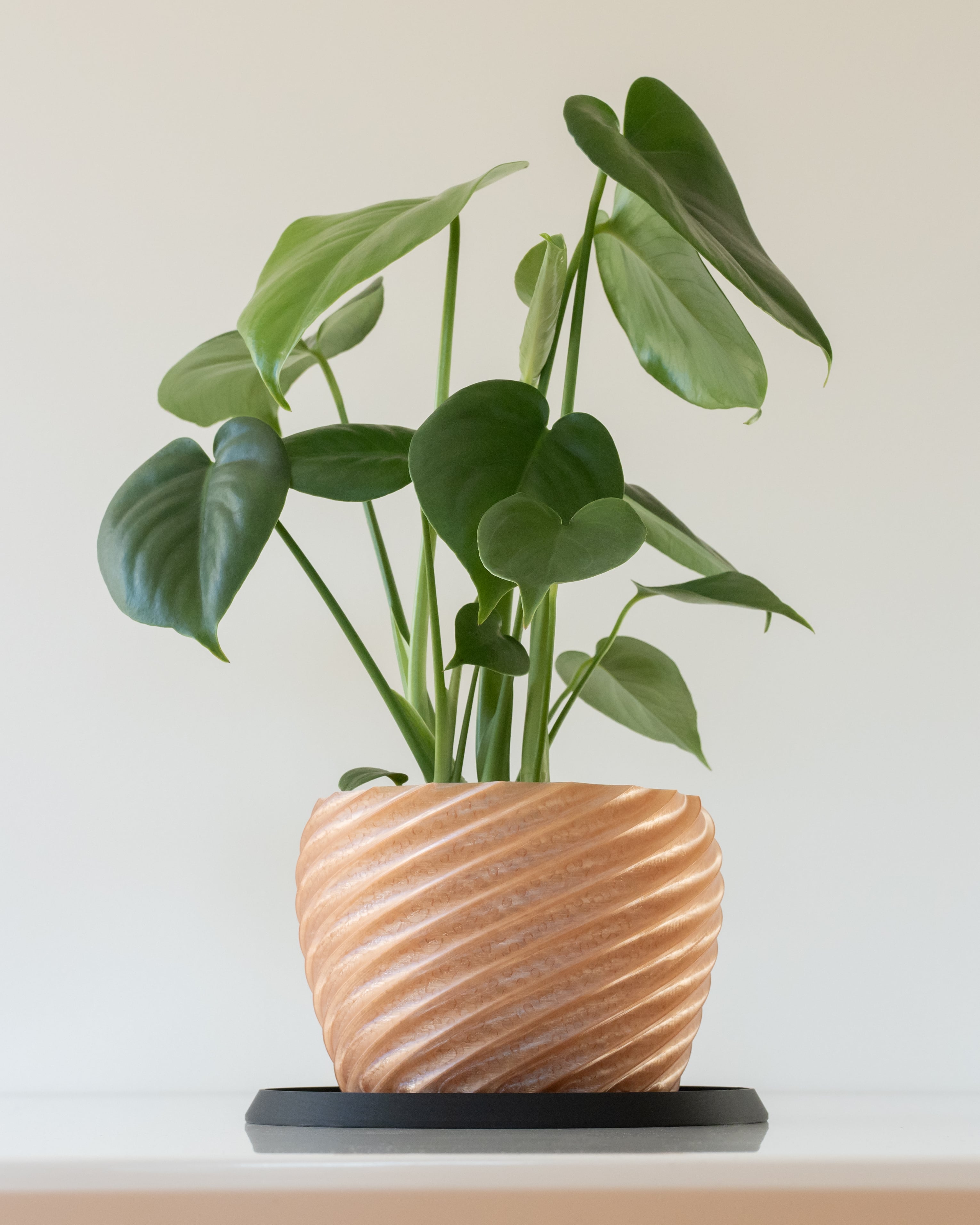 SPIRALIS Pot 001 3d model