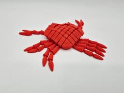 FLEXI HYBRID CRAB 3d model