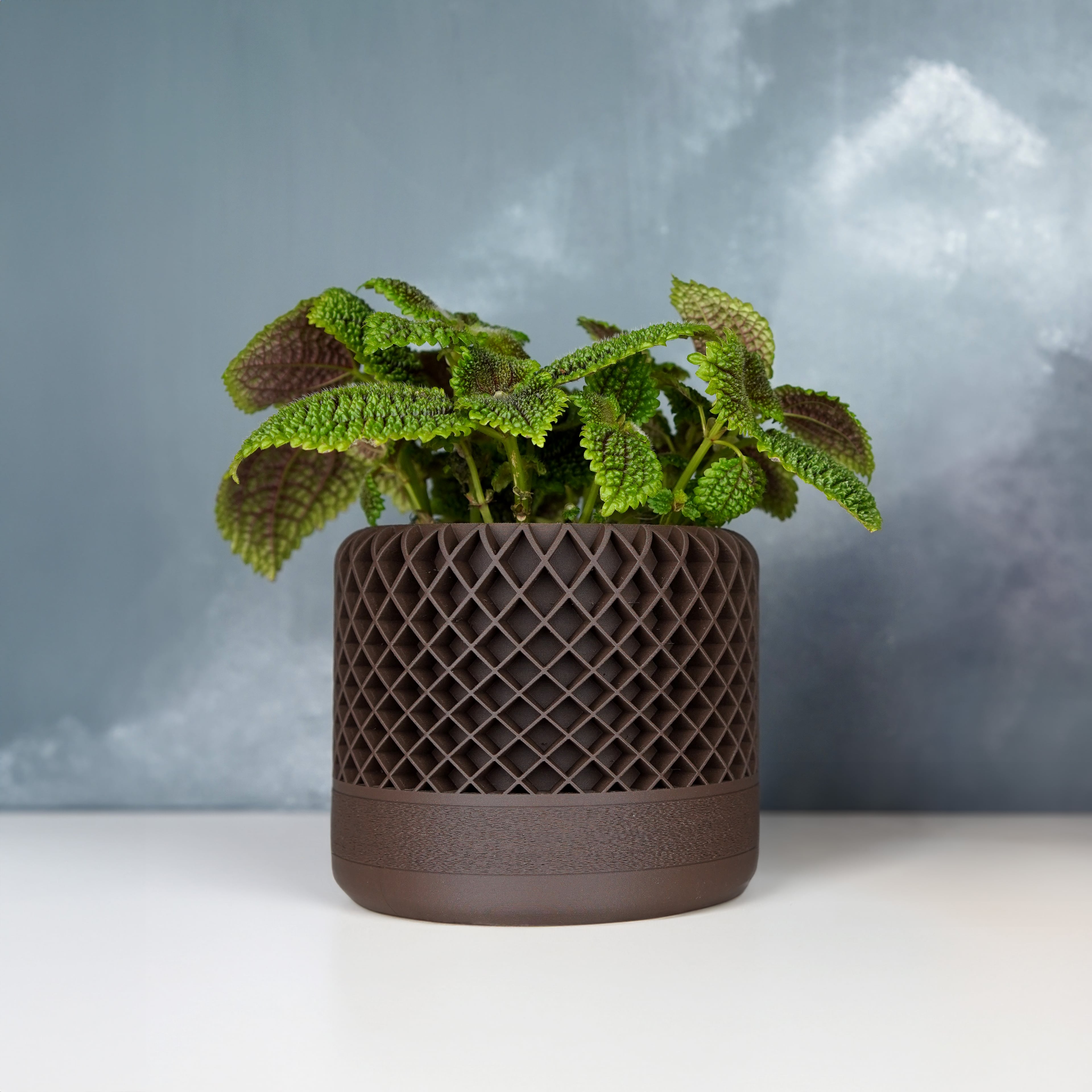 Lattice Planter w. hidden Driptray 3d model