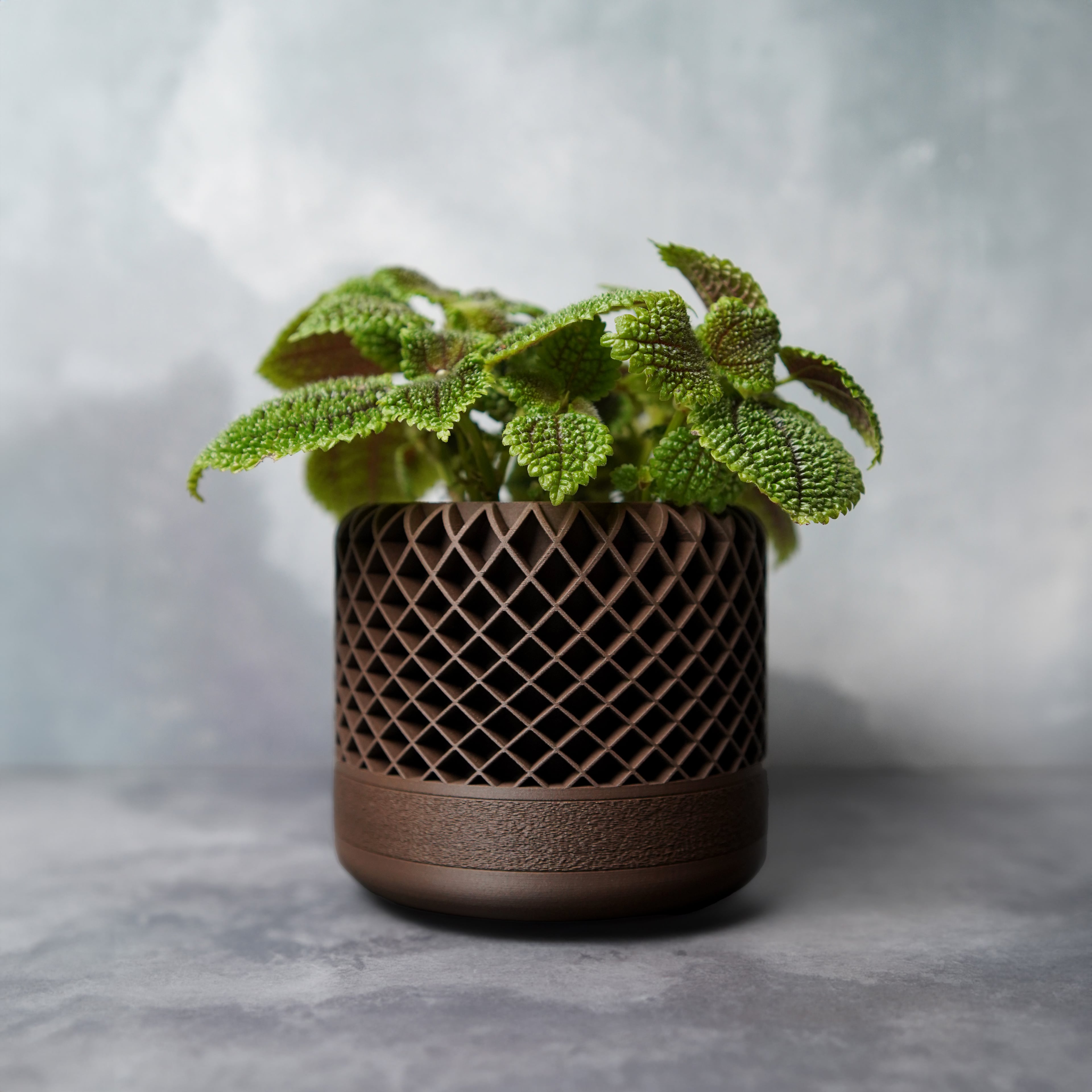 Lattice Planter w. hidden Driptray 3d model