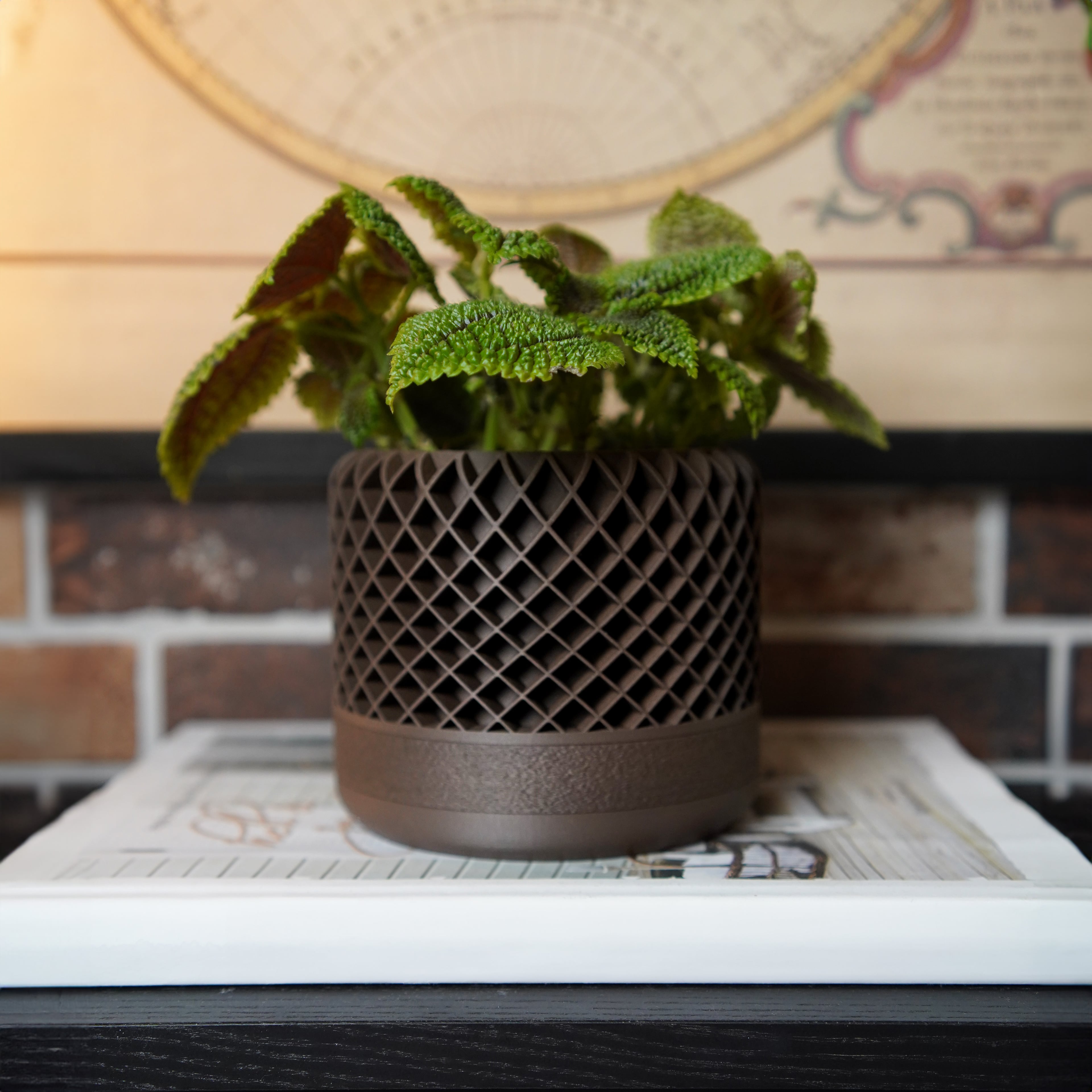 Lattice Planter w. hidden Driptray 3d model