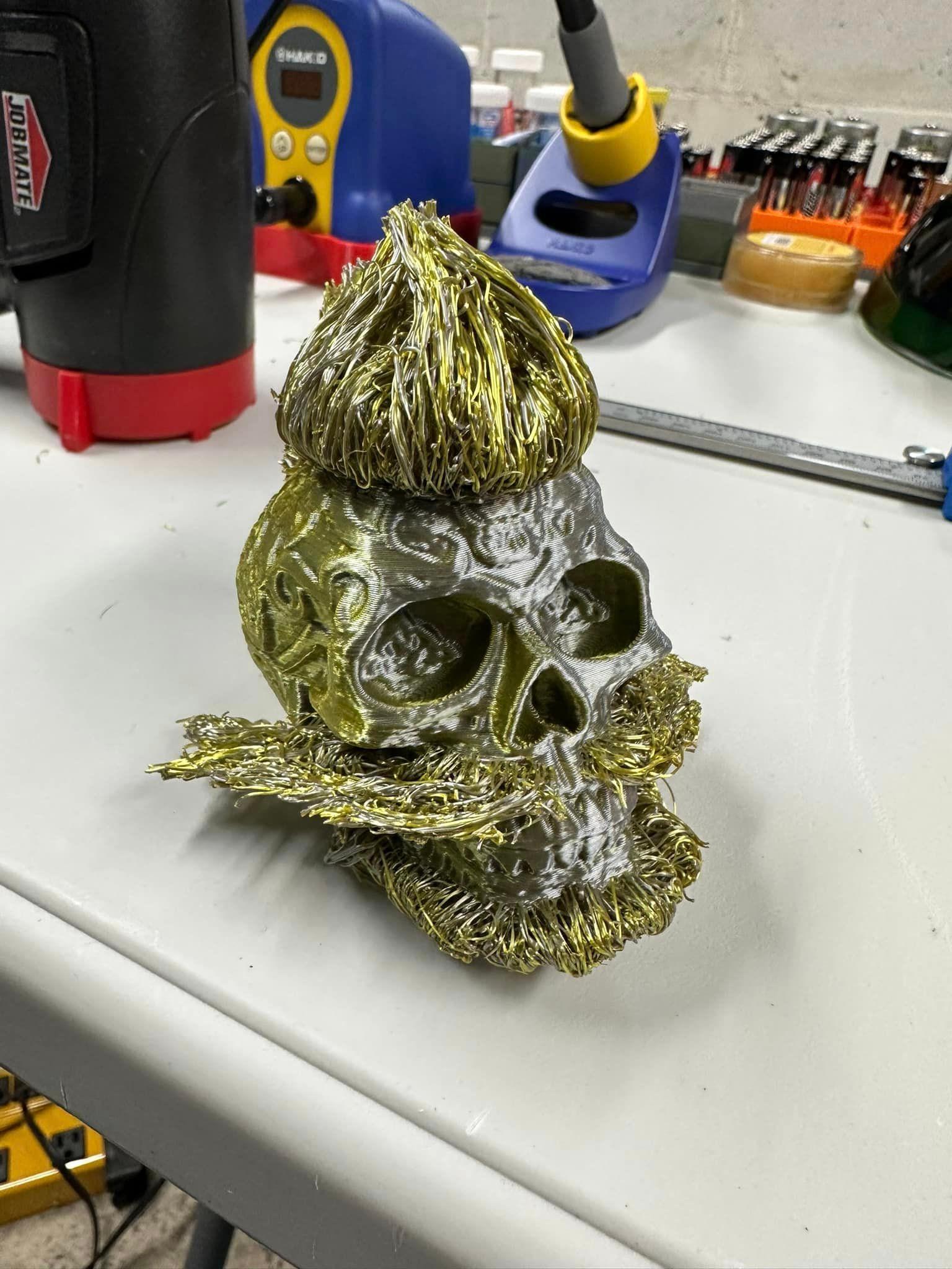 Hairify Celcit Skull .stl 3d model