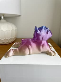 English Bulldog Dog Yoga Pose 3 3d model