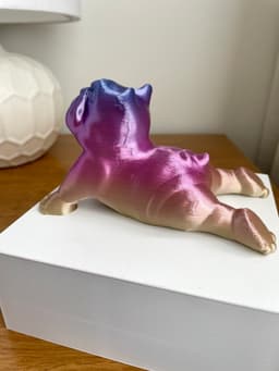 English Bulldog Dog Yoga Pose 3 3d model